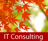 milwaukee wisconsin it consultant